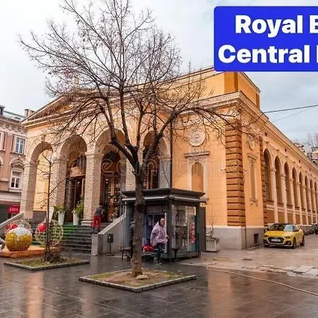 Royal Blue Point *